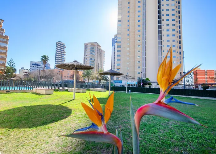 Mirador De By Interhome Appartement Calp